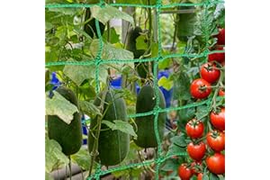 ‎GIUGIO Giugio Premium Ranknetz, Premium Ranknetz mit großer Maschenweite für den perfekten Wachstum von Tomaten, Gurken und Kletterpflanzen Das Optimale Rankhilfe Netz für Garten und Gewächshaus (2.5x2cm)