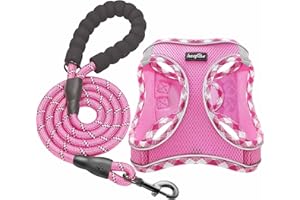 haapaw Hundegeschirr und Leine Set, kein Ziehen, verstellbares, reflektierendes Step-in-Welpengeschirr mit Dicker, gepolsterter Weste für extra kleine/kleine mittelgroße Hunde