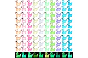 EKISEMIO 120pcs Luminous Mini Ducks, Mini Resin Ducks Figures 10 Colors Tiny Ducks to Hide Glow in The Dark for Miniature Fairy Garden Accessories Micro Landscape Aquarium Ornaments Kit Dollhouse Decor Crafts