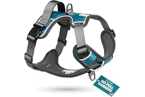 Embark Pets Adventure Dog Harness, No Pull Dog Harness with 2 Leash Clips,for Small Dogs Anti Pull Front & Back with Control Handle, Adjustable, Soft & Padded