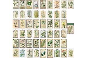 SHANFAA 50-Stücke Washi Aufkleber, Vintage Pflanze Stickers Aufkleber für Journaling, DIY dekorative Papier Aufkleber Aufkleber für Journal Art Scrapbooking Tagebuch Karte Handwerk Geschenk Album Notizbuch