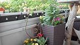 Floranica® Pérgola, Enrejado de Sauce impregnada y Cuerda de Yute ...