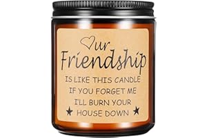 WOMPOLLE Funny Gifts for Friends,Gift for Bestie Women Men,Funny Birthday Gifts for Friend,Friendship Presents for Women Candle Gift (Friendship)