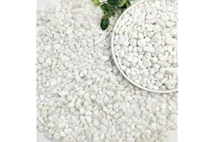 SHIZWU Garden Stones, White Gravel for Garden, Plant Pots, Fish Tank, Aquarium, Landscaping, Vase Fillers, Christmas Cactus and Succulents (6-9mm, 0.9kg)