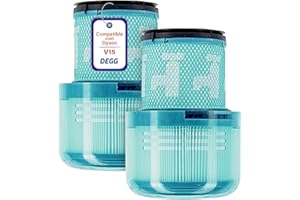 DEGG Filtro Hepa - Compatible con Aspiradoras Dyson V15 Filtros Lavables Repuestos Aspiradora Originde Duradero - 2 Unidades