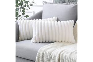 Soleebee 2er Set Plüsch Samt Kissenbezüge, Weiche Künstliche Pelz Dekorativ Kissenbezug Sofa Zierkissenbezüge Dekokissen Kissenhülle Set für Couch Schlafzimmer Zuhause Auto Dekor (30x50cm, Beige Weiß)