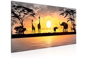 Runa Art Cuadro Decorativo África Puesta De Sol 1 Parte Moderno Cuadro Lienzo no Tejido para Sala Sabana Gris Naranja 000212c