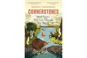 Cornerstones: Wild Forces That Can Change Our World