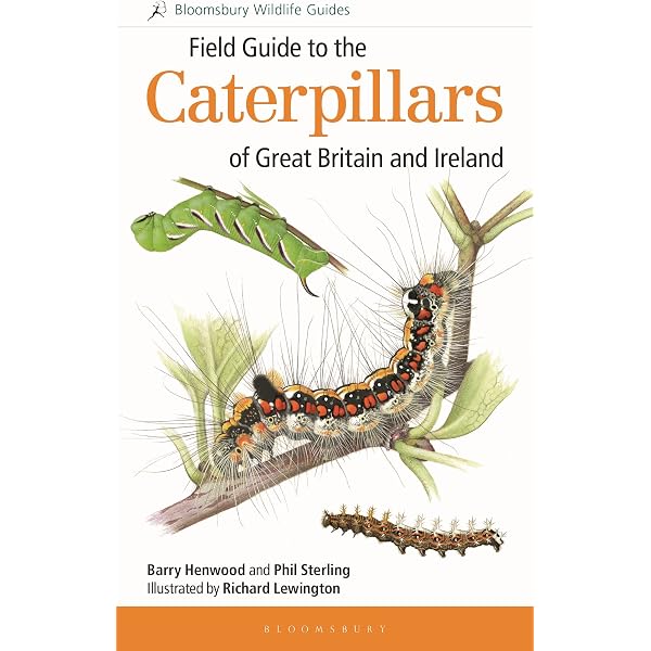 The Book of Caterpillars: A life-size guide to six hundred species