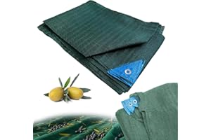 Crisalide® Telo Raccolta Olive Antispine 90 gr/m² Senza Apertura con Occhielli Rinforzati – Disponibile in 13 Misure (da 3x6m a 12x14m) (5 * 10m)