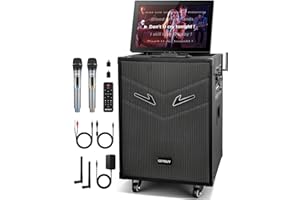 GEYGUY Cassa Karaoke professionale con schermo tattile 15" e 2 Microfoni UHF senza Fili, completo bluetooth portatile per adulti USB-C/4G+64GB/WIFI/Caricabile GTSK10-3