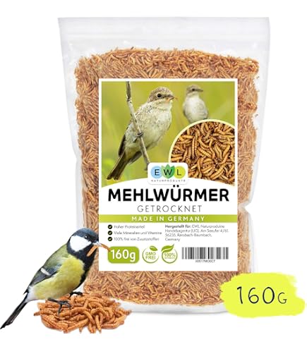 Mangeoire à Oiseaux Transparente Pour Fenêtre - Avec Ventouses Résistantes | Parfaite Pour Observer Mésanges Et Moineaux
