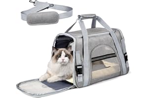 PAT JUUMG Trasportino per Cani e Gatti, Borsa Ripiegabile Traspirante Viaggio, Borsa Trasportino per Gatti con Tappetino Rimovibile, Borsa da Viaggio per Animali Domestici con Tracolla Regolabile Staccabile