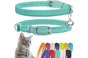 CollarDirect Leder Katzenhalsband mit Sicherheitsverschluss und Glocke, 23-28 cm, Mintgrün