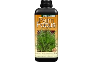 Growth Technology Ltd,1L,Black Palm Focus 1 Litre