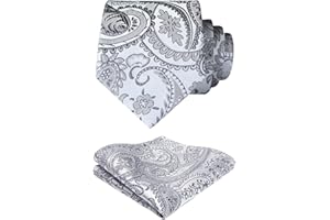 HISDERN Męski krawat paisley chusteczka ślubna krawat i poszetka zestaw