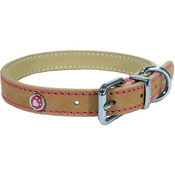 tan leather collar