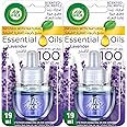 Air Wick Scented Oil Fragrance Diffuser Refill, Eliminates Bad Odour like Cat Litter Smell, Lavender Fragrance, 19 ml (Pack of 2)