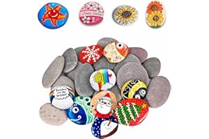 HUDIEPAN 20 Pezzi Dipingere i Ciottoli, Le Rocce Ciottoli, Rocce Naturali di Disegno, Sassi da Dipingere, Pietre Piatte Per La Pittura, Pietre di Ciottoli da Spiaggia, per Decorative per Acquario e Giardino