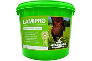 Global Herbs LamiPro Powder (1KG)