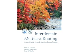 Interdomain Multicast Routing: Practical Juniper Networks and Cisco Systems Solutions: Practical Juniper Networks and Cisco Systems Solutions