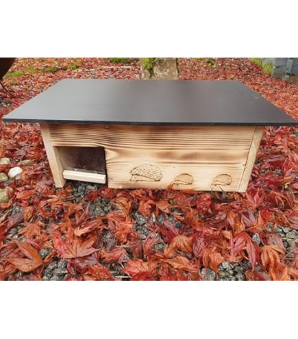 Igelhaus Igelhotel Igelhütte Futterhaus Für Igel Igelfutterhaus Edel G Ohne Boden Mit Rattenklappe Igk