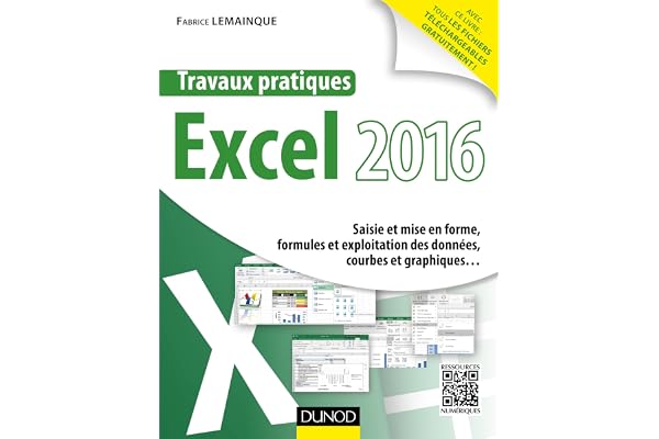 Travaux pratiques avec Excel 2016 - Saisie et mise en forme, formules et exploitation des données...: Saisie et mise en forme, formules et exploitation des données, courbes et graphiques...