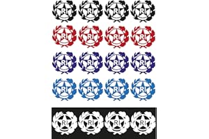 StampaGenerale® - Bollino Adesivo per Targa Auto e Moto con Stemma Logo RI in PVC Resistente e Impermeabile Facile da Applicare Ideale per Restauri (13x13 mm) (4, Nero)