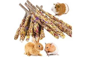 Abizoo Bunny Chew Toys for Rabbits,18PCS Natural Apple Wood Sticks with Petals Good for Chinchillas Guinea Pig Hamster Teeth Care, Bunny Pops Small Pet Treats Teething Toys| Natural Organic Safe