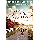 Bis wir uns wieder begegnen: Roman