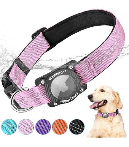 Filbert Lederhalsband Mit Integriertem AirTag-Schlitz – Wasserdicht, Verstellbar, Für Große Hunde
