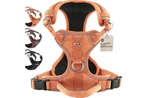 FREUDENTIER Dog Harness with Mesh Padding, Highest Comfort, Bomb-proof Fit & Maximum Safety, Anti-Pull Front Ring, Chest Harness for Large, Medium and Small Dogs (Orange, L)
