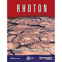 Rhoton Cranial Anatomy and Surgical Approaches : Rhoton Jr MD