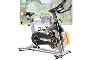 Exercise Bike Magnetic APP Compatible, Riksion Spin Bike for Home Gym Use, Indoor Cycling Equipment with LCD Display&Tablet Holder Fitness Stationary Bike