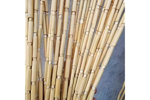 FWTXZTER Tenda in legno di perle divisoria in legno, 50 fili di perle di legno, tenda decorativa per camera da letto, soggiorno, porte e finestre (50S)