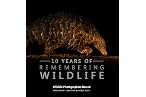 10 Years of Remembering Wildlife