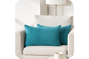 Topfinel Federe Cuscini Comode in Ciniglia per Divano, Copricuscini Decorativi Letto Arredo casa, Fodere cuscino Tinta unita per Soggiorno Camera Balcone Esterno, 2 Pezzi 40x60 cm Turchese