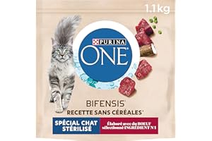 PURINA ONE | Aliment Complet pour Chat Adulte | Stérilisé | Croquettes | sans Céréales | Au Boeuf | Sac | 1,1kg