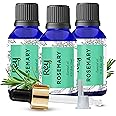Rey Naturals Rosemary Essential Oil | Rosemary Oil for Hair Growth | Good For Skin, Body and Shiny Soft Hair | Pure & Non Greasy | Hair Fall Control & Hair Growth Oil For Women & Men - 15ml pack of 3