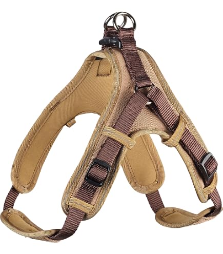 Reflektierendes Hundehalsband Von Rhea Rose – Weich Gepolstert, Sichtbar & Sicher Für Jeden Spaziergang