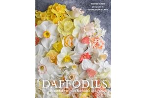 Daffodils: Beautiful Varieties for Home and Garden