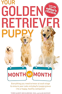 golden retrievers needing a home in surrey