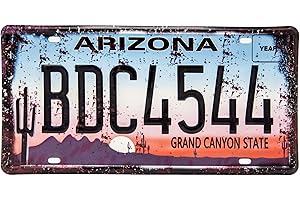 LUCKYLINDE Tabliczka rejestracyjna w stylu retro – Route 66 – Arizona – USA Vintage Auto Motorway, tabliczka blaszana, 30 x 15 cm