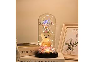 NAWEIDA Galaxy Rose Flower, Infinity Rose in Glass Dome, Beauty and The Beast Rose Led Light String on Galaxy Rose Flower for Women Her Girlfriend Grandma Wife Sister Valentines Anniversary