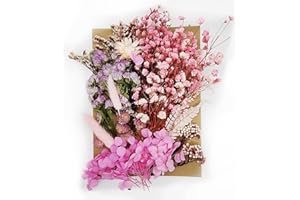 OWOAOOWL Natürliche Getrocknete Blumen,Trockenblumen Set,DIY Gepresste Blumen,Echte Getrocknete Gepresste Blumen,Trockenblumen Resin,Getrocknete Blumen für Kunst DIY Harz Scrapbooking Handwerk Karten Machen