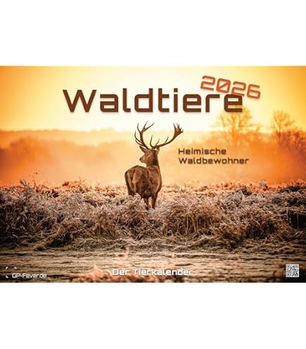 Edition Seidel Premium Kalender Igel 2026 Format DIN A3 Wandkalender Tierkalender mit süßen Bildern Tiere Wald Waldtiere Wildtiere