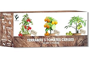 NOPALIA® Kit Tomates Cerises Bio – Mini Potager Intérieur (Green Envy, Ambrosia, Gold Nuggets) – Cadeau Jardinage Enfant & Adulte – Culture Facile & DIY – Décoration Maison & Bureau – Made in France