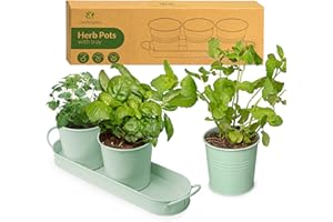 LeafImpact Pots Herbes Plantes D'intérieur Plateau | Cultivez des Herbes Fraîches chez Vous | Kit Plantes Aromatique Interieur | Jardinières d'intérieur de Fenêtre pour Basilic, Menthe, Persil