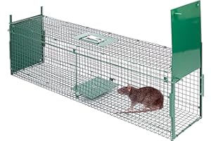 MaxxGarden Piège à Animaux - Cage Rat Professionnel - Piège à Fouine - 60x18x20 cm - Trappe Capture - Piège à Souris - Appat Souris et Rat - Réutilisable - Pliable - Vert