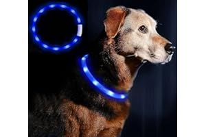 Anicoll LED Leuchthalsband Hunde Halsband USB wiederaufladbar - Längenverstellbarer Haustier Sicherheit Kragen für Hunde und Katzen- 4 Modus 12 Lichte